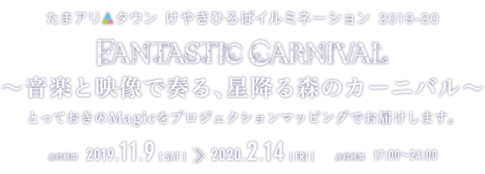 たまアリ△タウン　けやきひろばイルミネーション 2019-2020 FANTASTIC CARNIVAL - 音楽と映像で奏る、星降る森のカーニバル - 点灯期間 2019.11.9(sat)-2020.2.14(fri) 点灯時間17:00-24:00