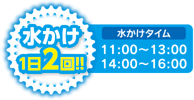 水かけ1日2回!!