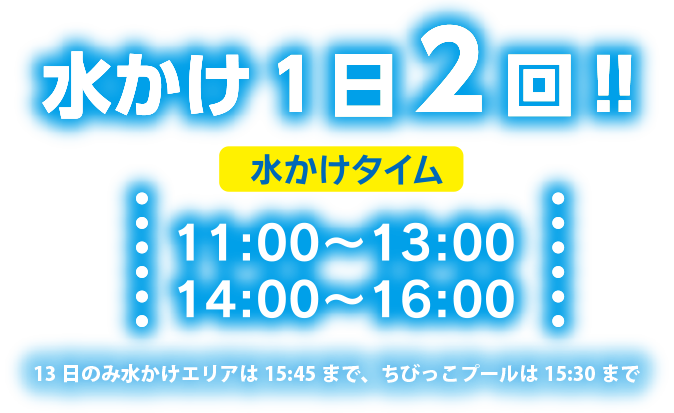 水かけ1日2回!!