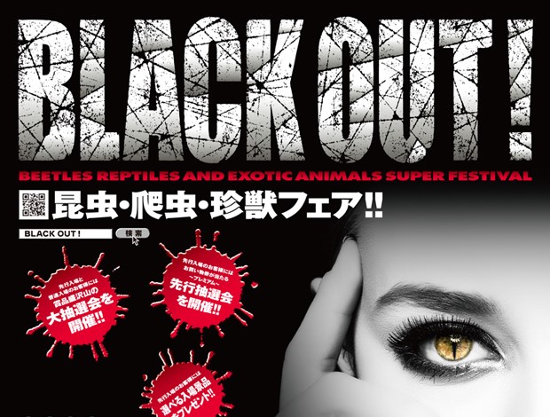 昆虫・爬虫・珍獣フェア‼《BLACK OUT!》