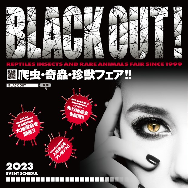 爬虫・奇蟲・珍獣フェア！！ ≪BLACK OUT 2023！≫