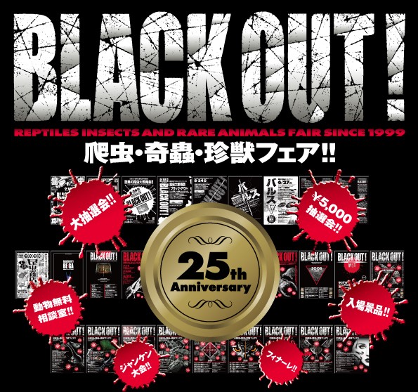 爬虫・奇蟲・珍獣フェア！！ ≪BLACK OUT 2025！≫
