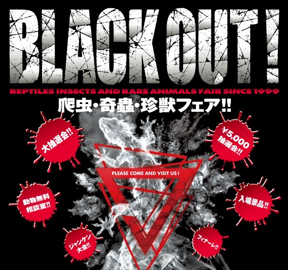 爬虫・奇蟲・珍獣フェア！！ ≪BLACK OUT 2026！≫